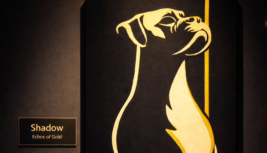 Shadow : Echos of&nbsp;Gold